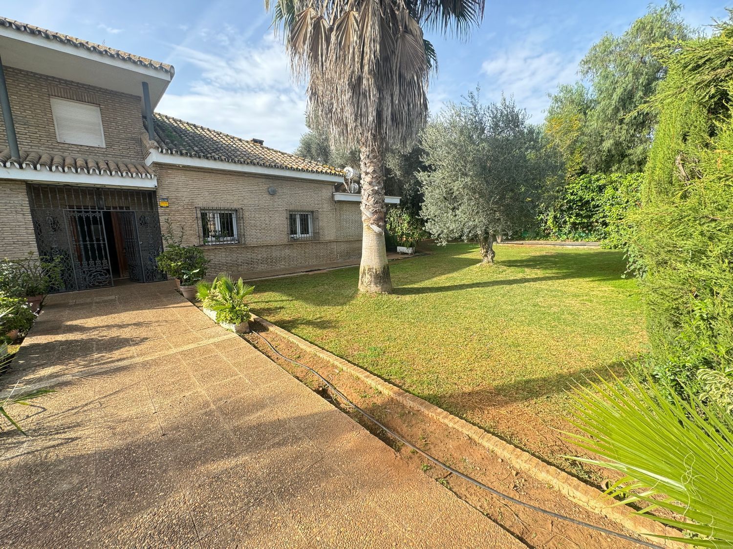 Jardí de Casa o xalet en venda en Dos Hermanas amb Aire condicionat, Calefacció i Jardí privat