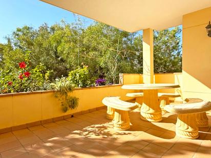 Jardí de Apartament en venda en Orihuela amb Piscina