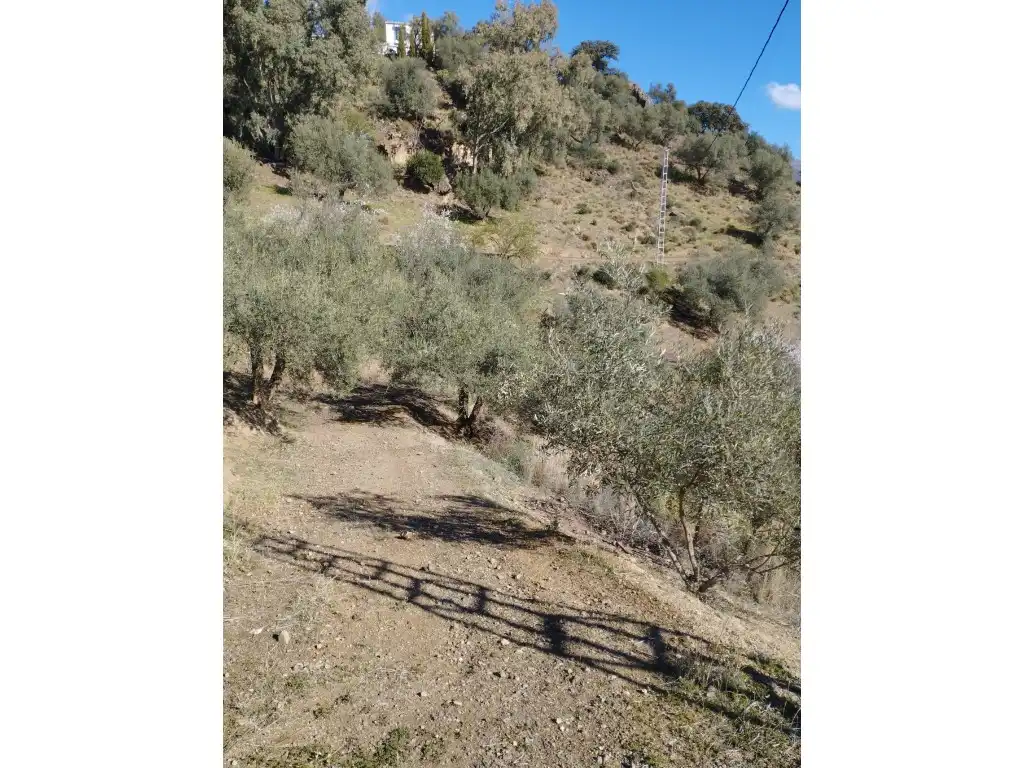 Casa o chalet en venta en Riogordo