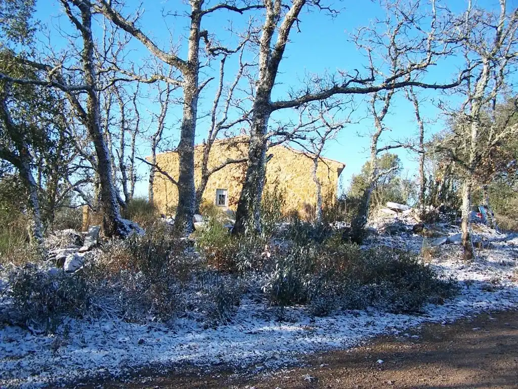 Jardín de Finca rústica en venta en Cabeza la Vaca con Terraza, Trastero y Amueblado