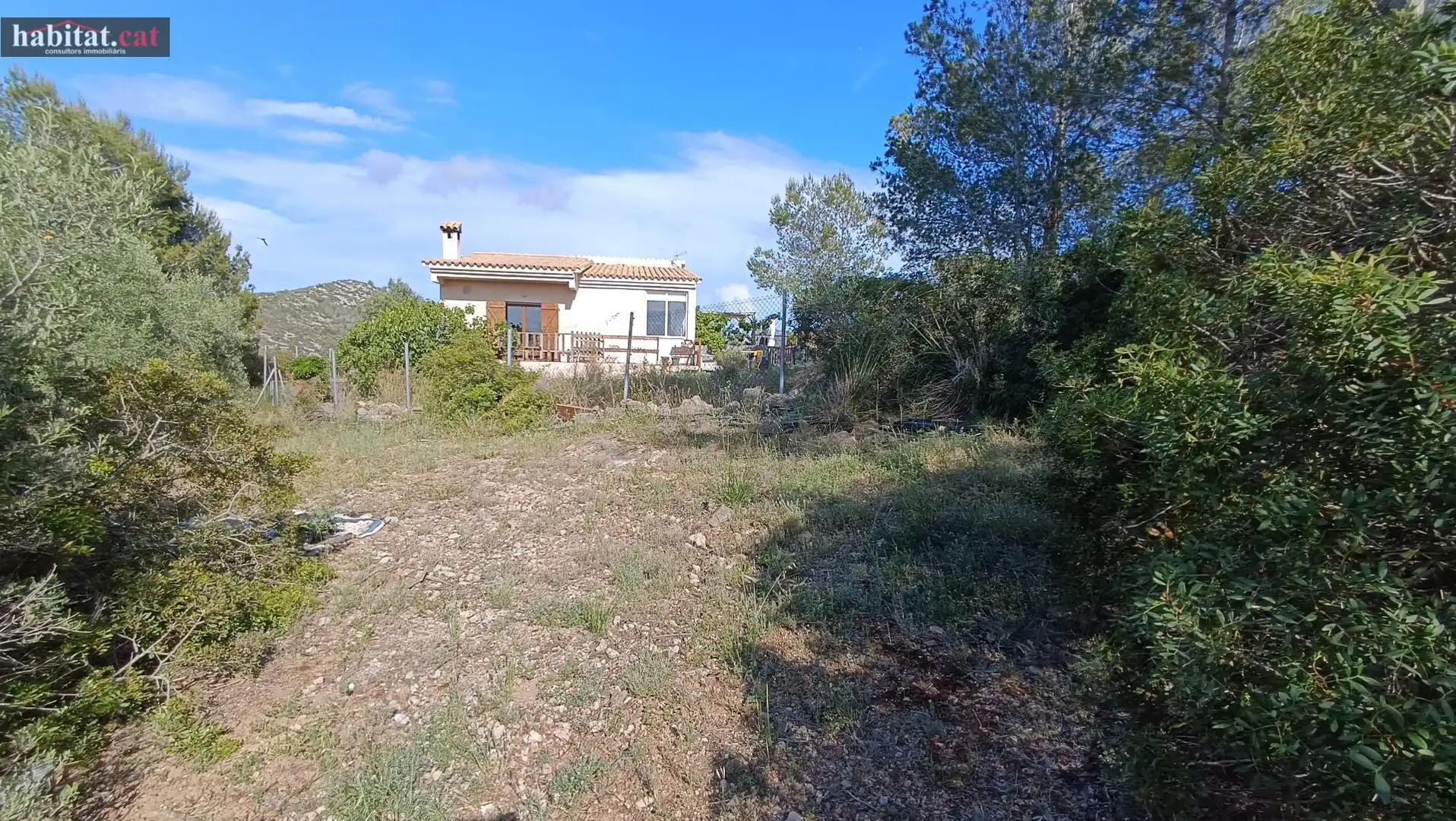 Houses for sale in Olivella