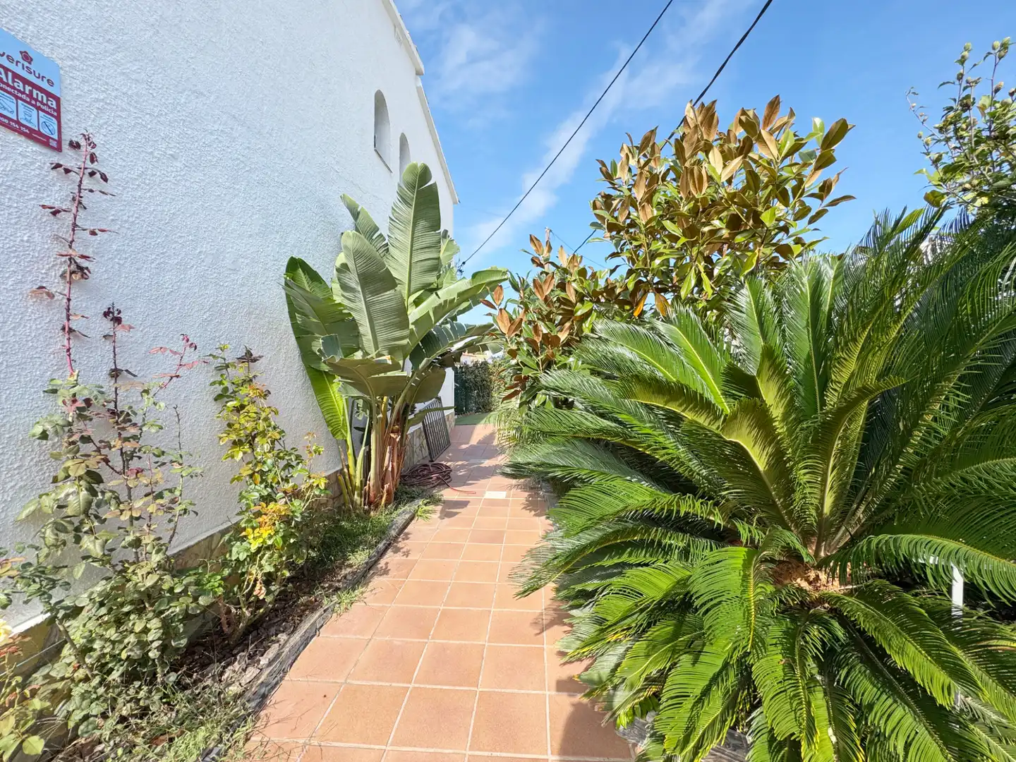Vista exterior de Casa o chalet en venta en Port - La Cota - Puig Sec