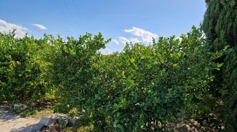 Photo 4 of Country house for sale in Villanueva del Río Segura, Murcia