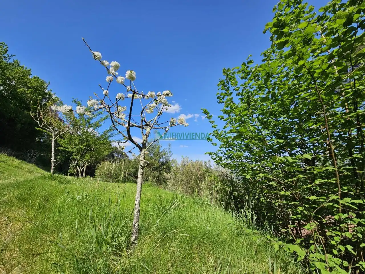 Finca rústica en venta en A Cañiza   con Calefacción, Jardín privado y Terraza