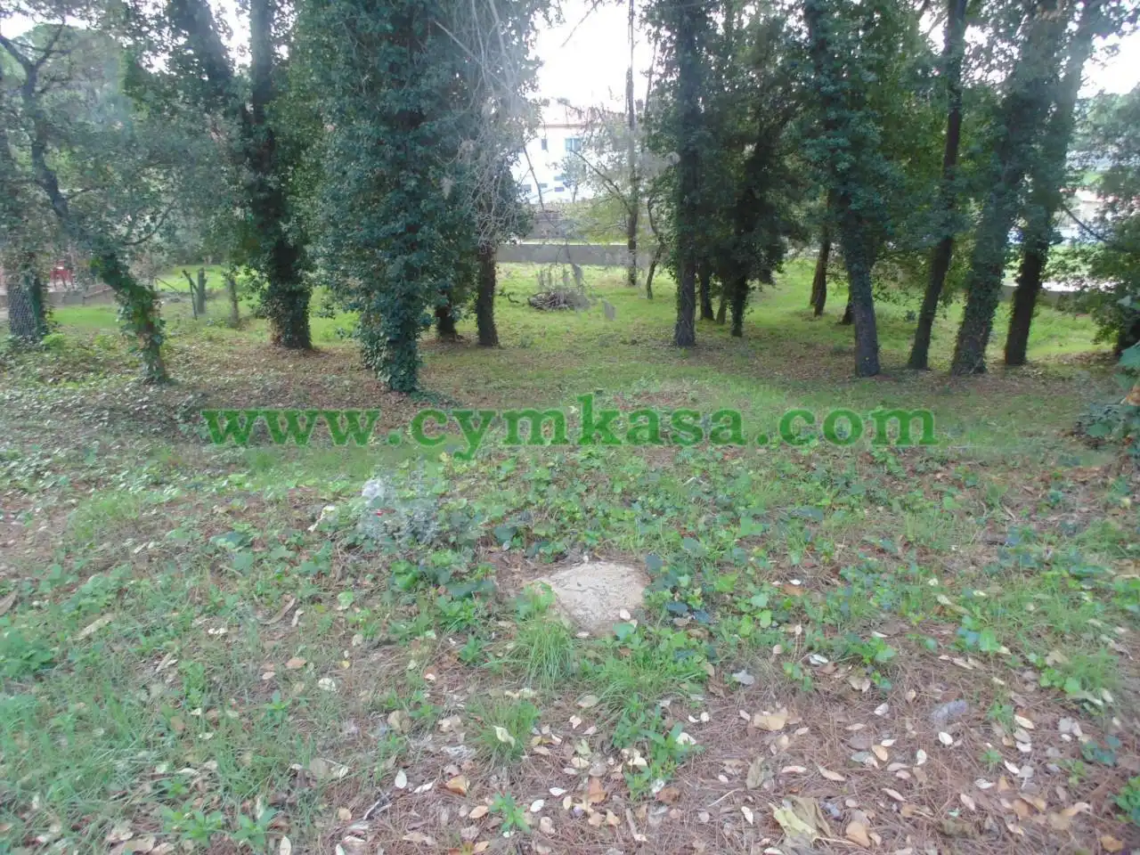Residential land for sale in Sils, imagen 5