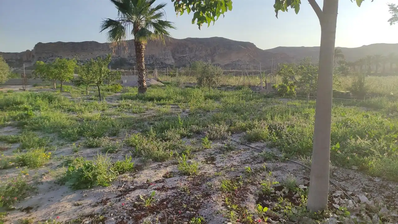 Residencial en venta en Cuevas del Almanzora