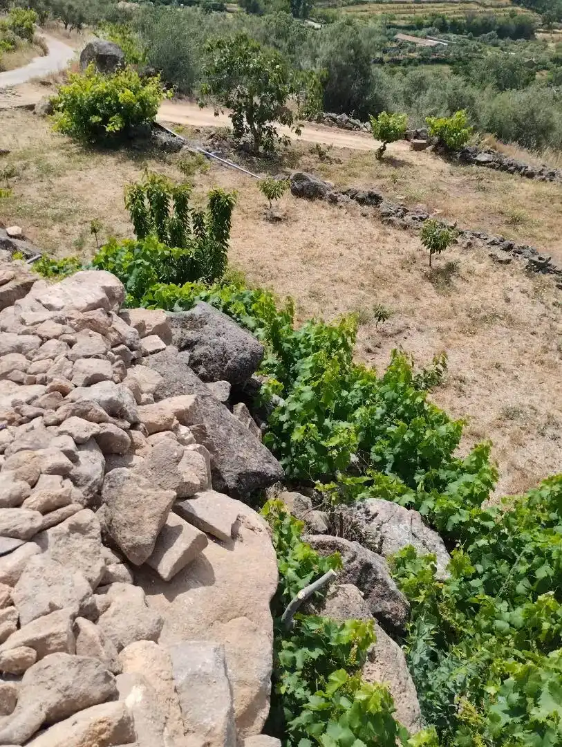 Finca rústica en venta en Pasarón de la Vera