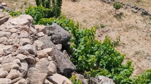 Foto 4 de Finca rústica en venta en Calle María de Luna, 1, Pasarón de la Vera, Cáceres
