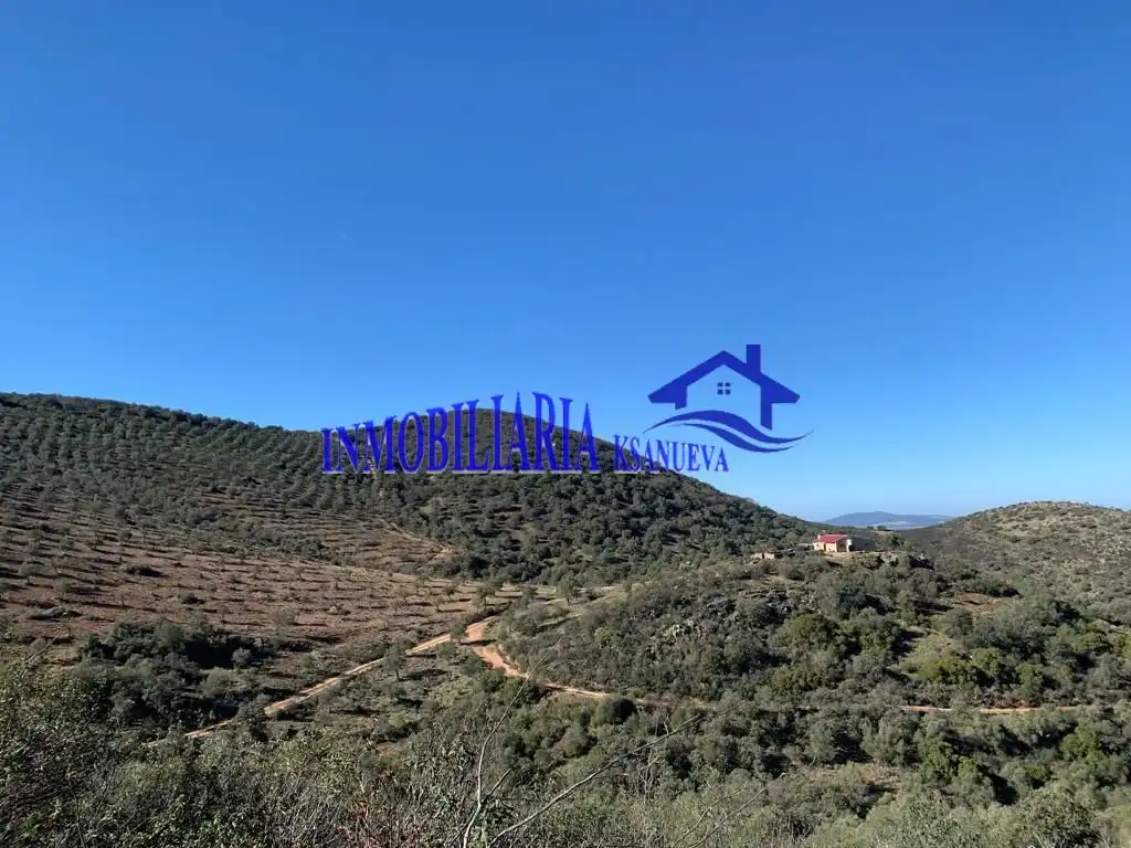 Finca rústica en venta en Fuente Obejuna con Trastero