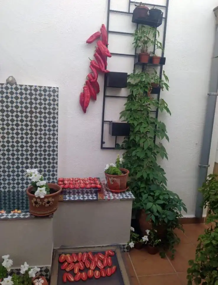 Appartement avec ascenseur à vendre à Centro, imagen 5