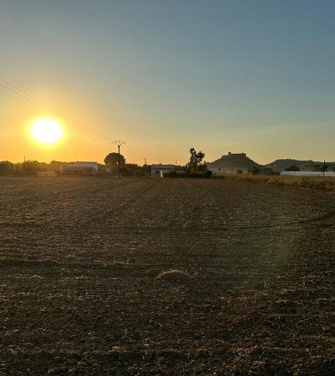 Photo 2 of Land for sale in Medellín, Badajoz