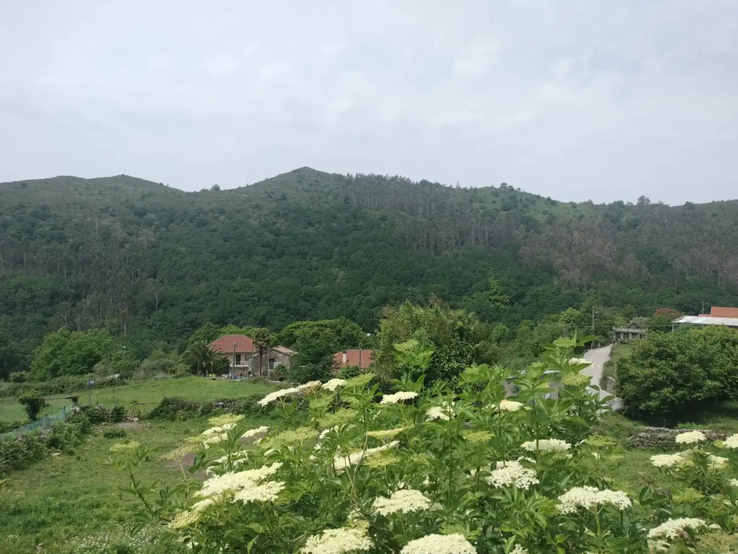 Casa rústica amb jardí en venda a A Lama, imagen 12