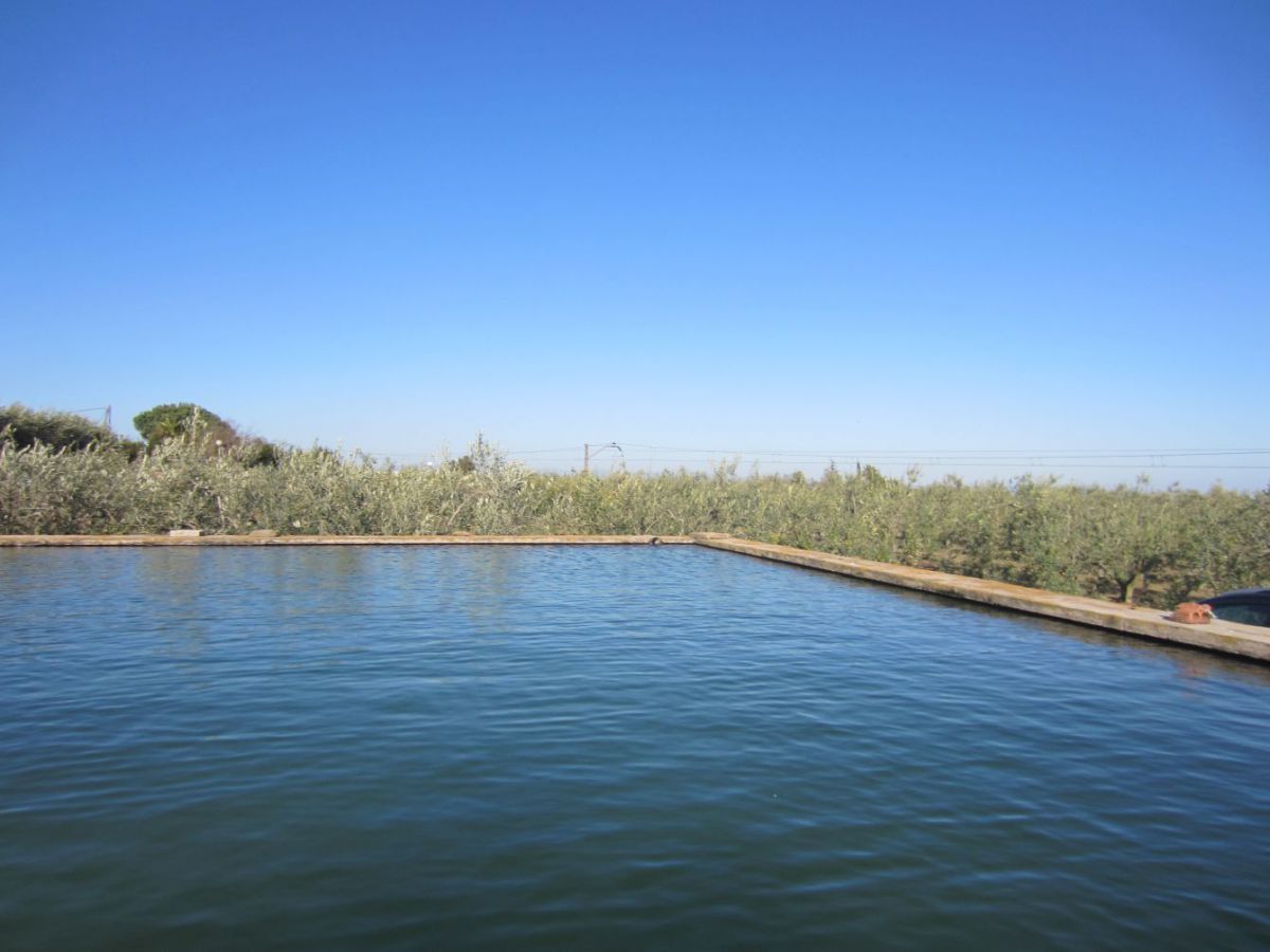 Swimming pool of Country house for sale in La Selva del Camp