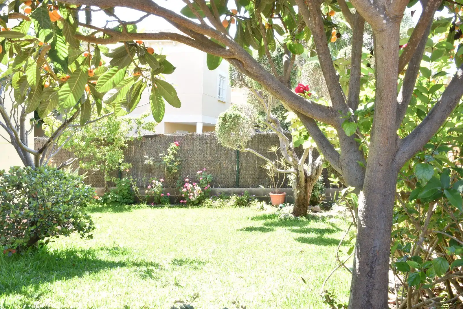 Jardí de Casa o xalet en venda en El Vendrell amb Aire condicionat, Calefacció i Terrassa