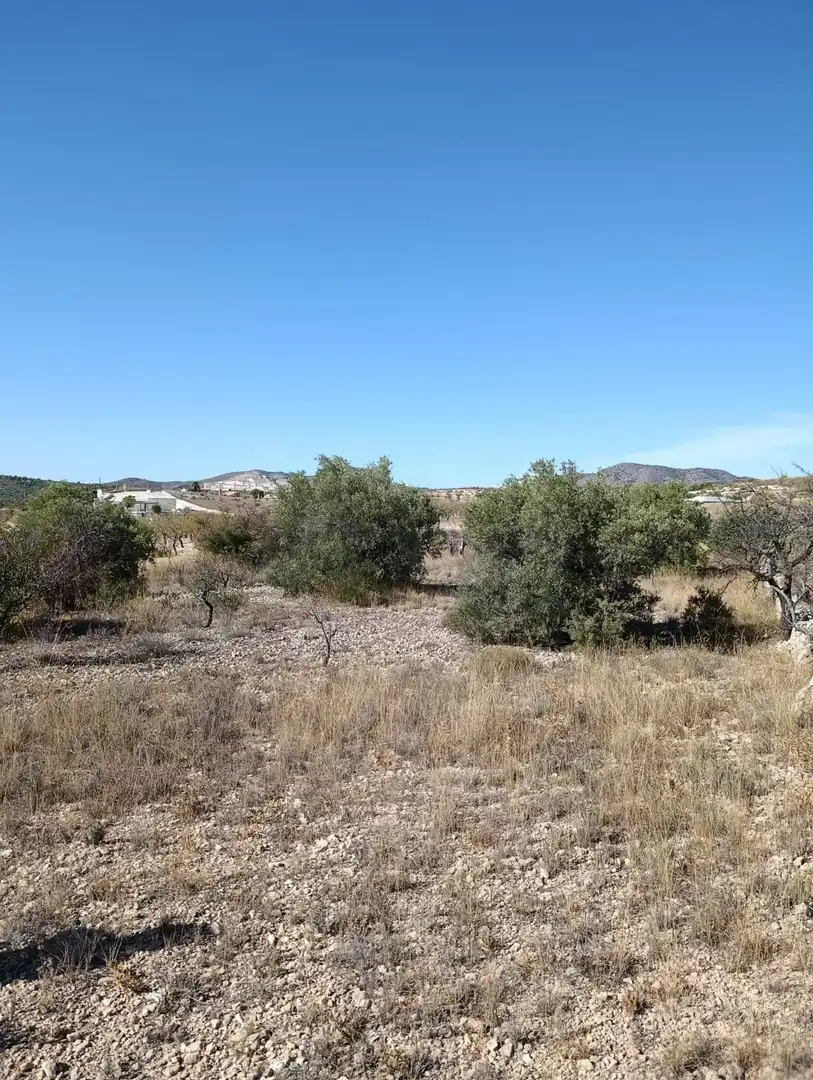 Terreno rustico in vendita a Hondón de las Nieves / El Fondó de les Neus, imagen 30
