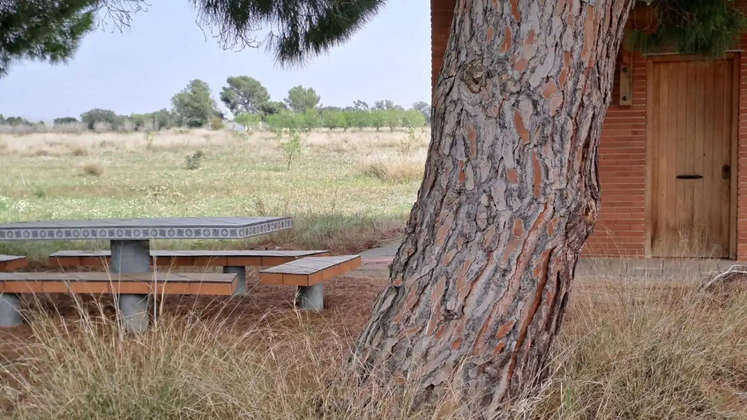 Jardín de Finca rústica en venta en Constantí