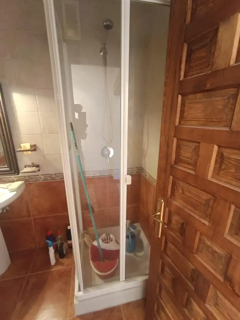 Bathroom of Commercial properties for sale in Artziniega
