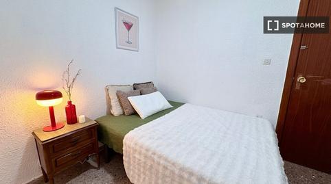 Photo 3 of Flat to share in Picanya, Valencia