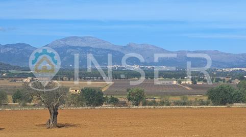 Photo 2 of Country house for sale in Diseminados Poligono 6, Zona Periurbana, Inca