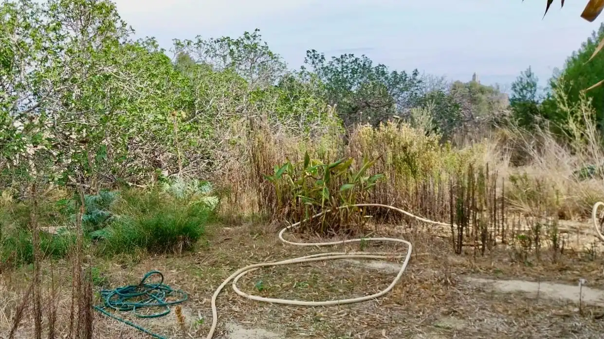 Terreno rustico in vendita a Platja de Torres, imagen 5