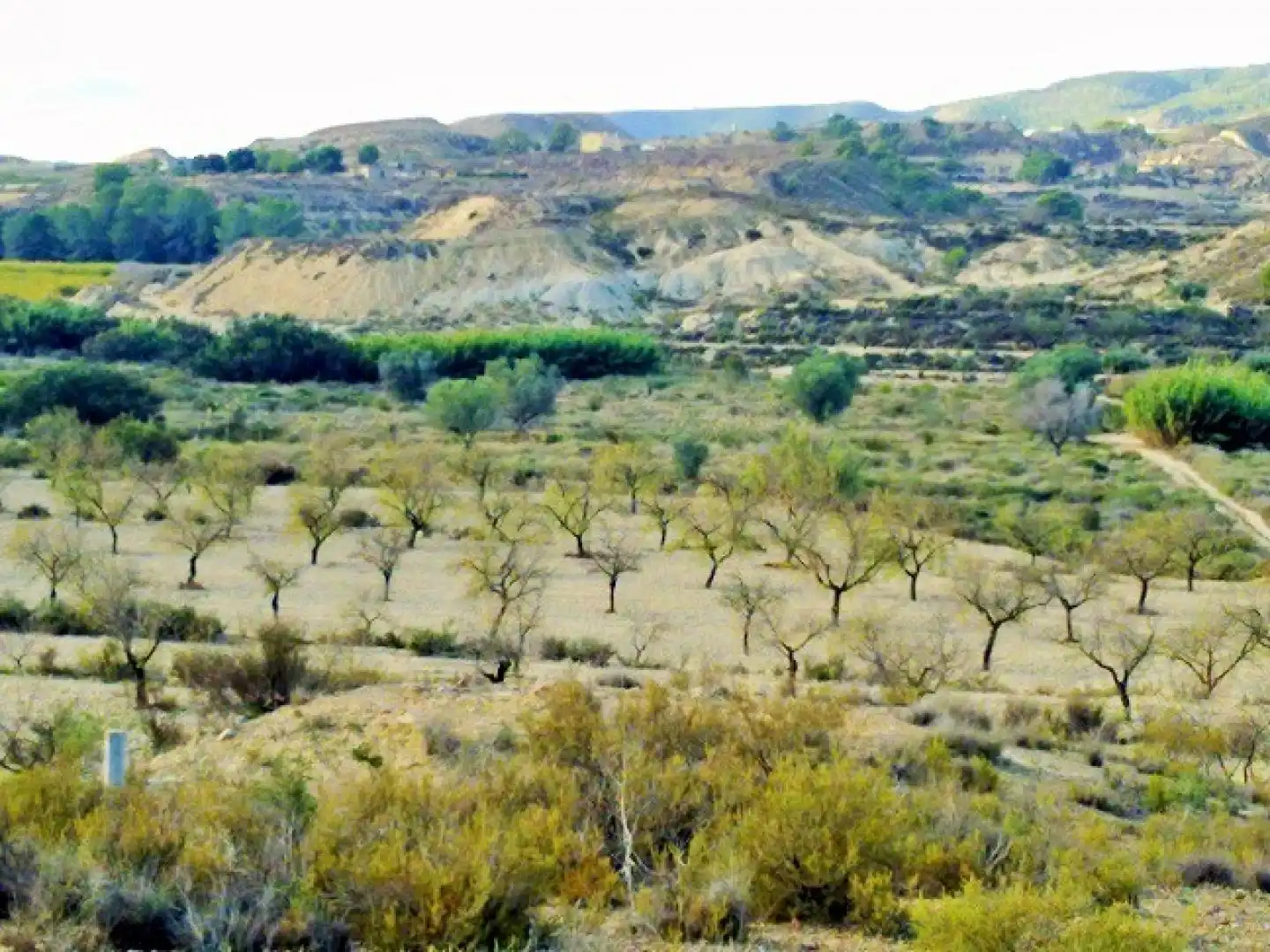 Terreno residenziale in vendita a Campo de Murcia