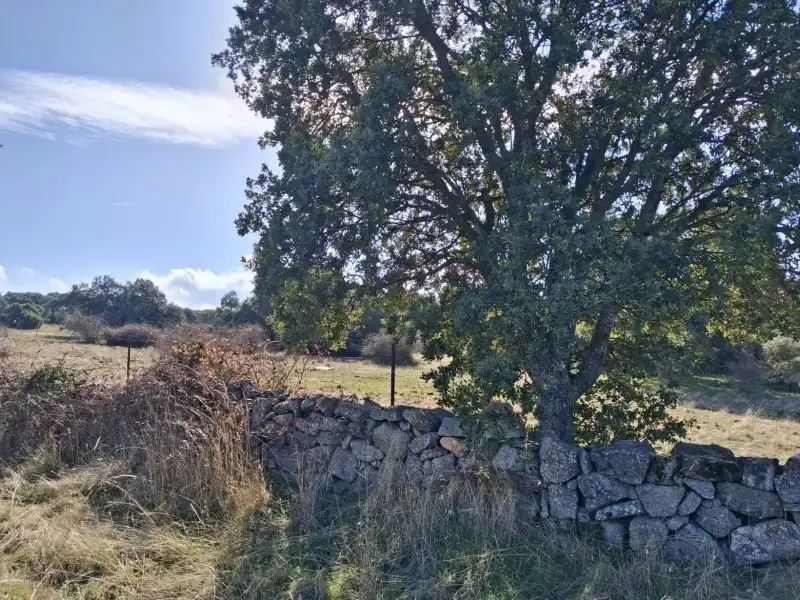 Terreni e lotti in vendita a Navas de San Antonio