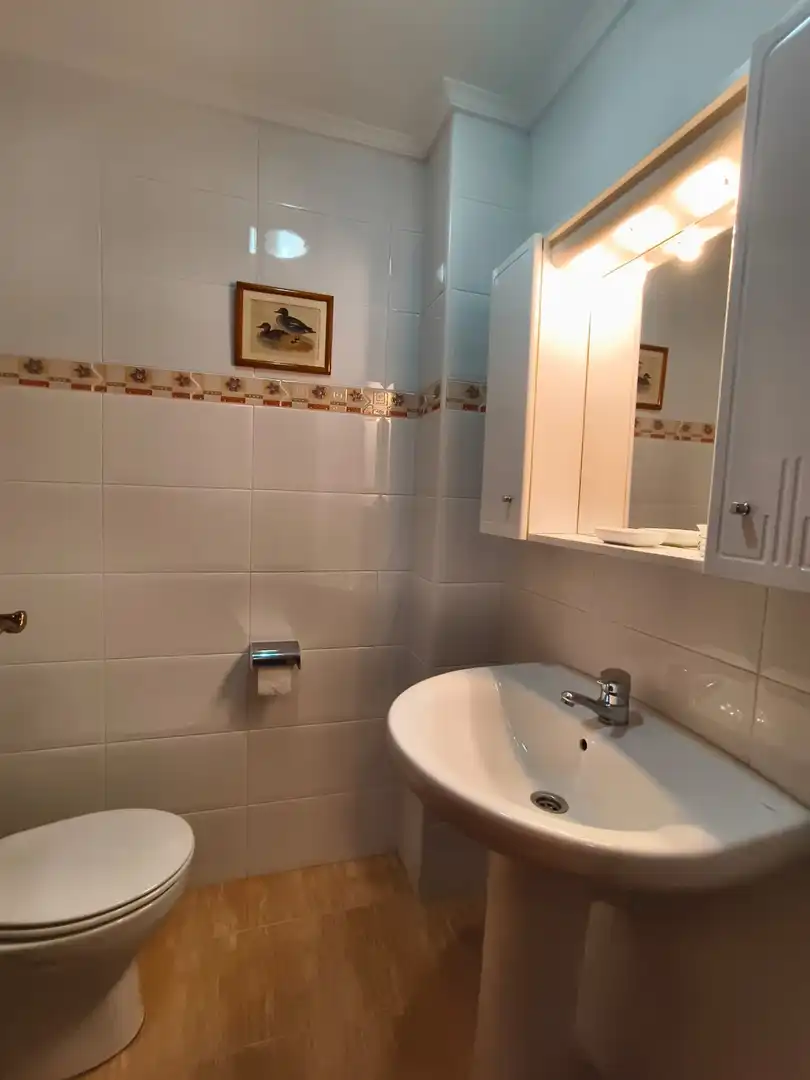 Baño de Piso de alquiler en Liérganes con Calefacción, Parquet y Amueblado