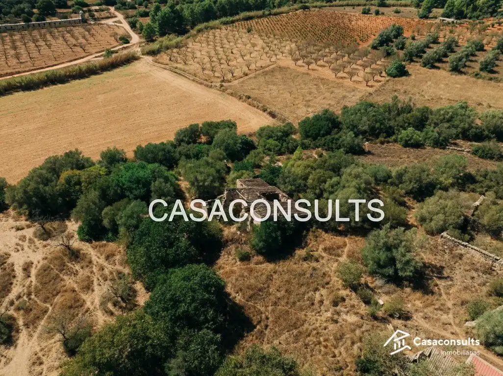 Country house with garden for sale in Useras /  Les Useres, imagen 9