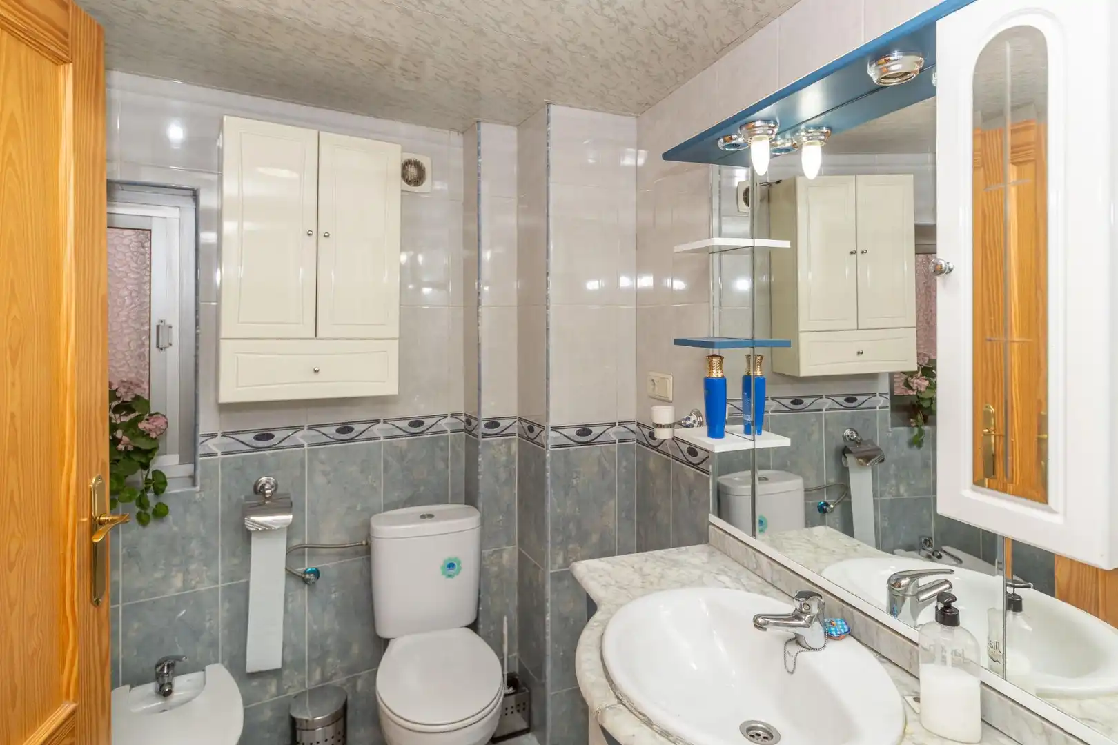 Bany de Casa o xalet en venda en Guadix, Granada
