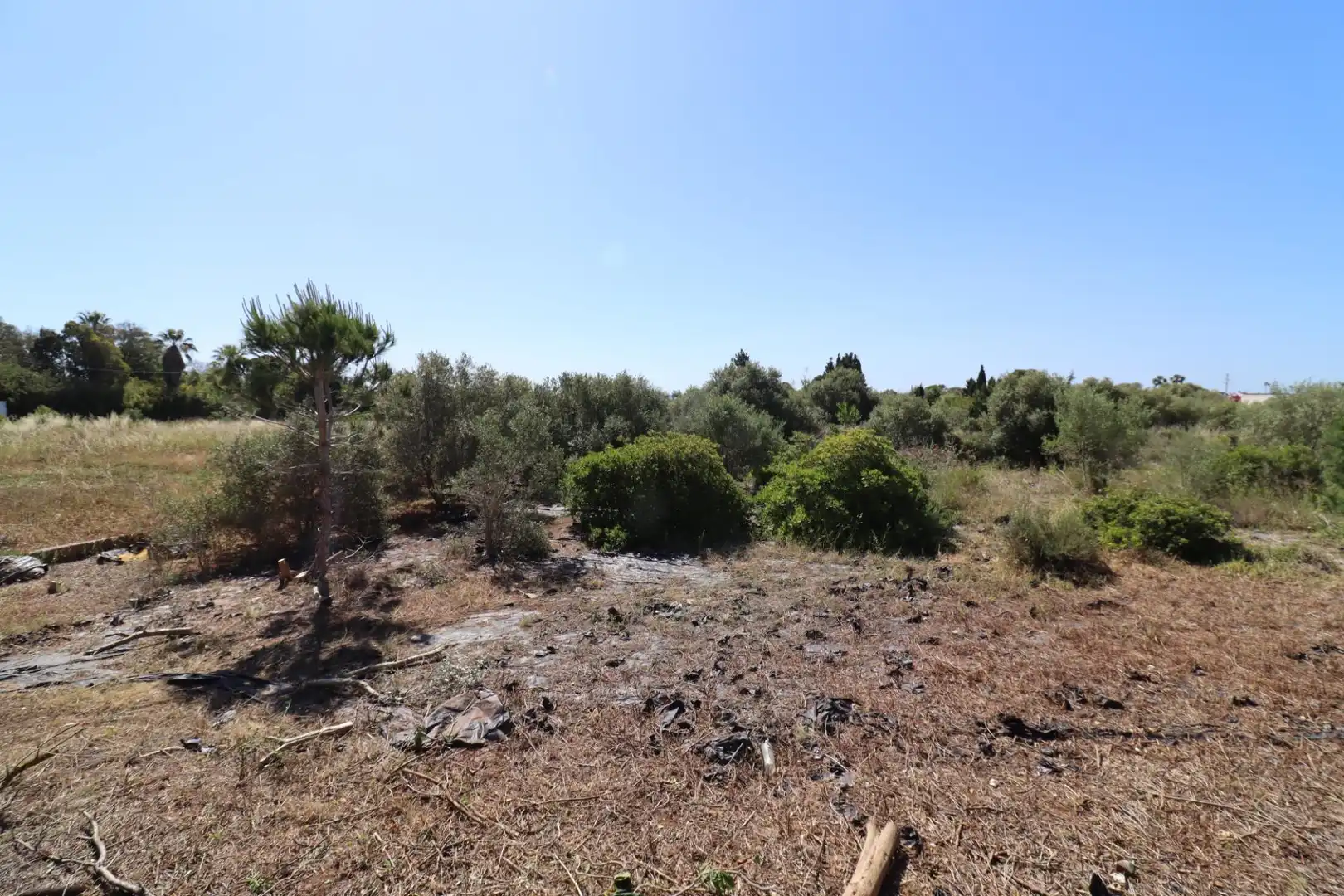 Terreno rustico in vendita a Alcanar, imagen 14