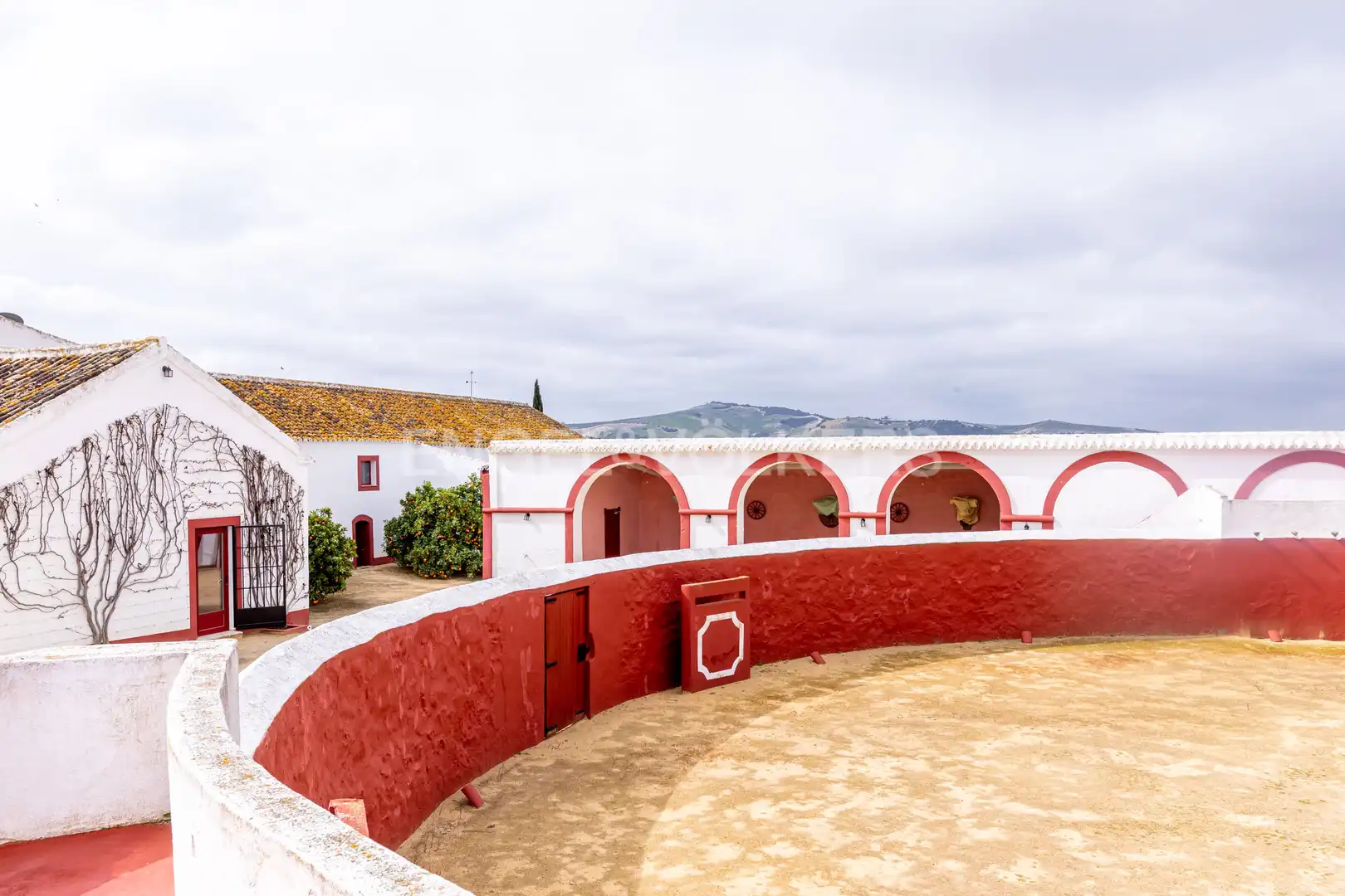 Vista exterior de Casa o chalet en venta en La Puebla de Cazalla con Calefacción, Jardín privado y Terraza