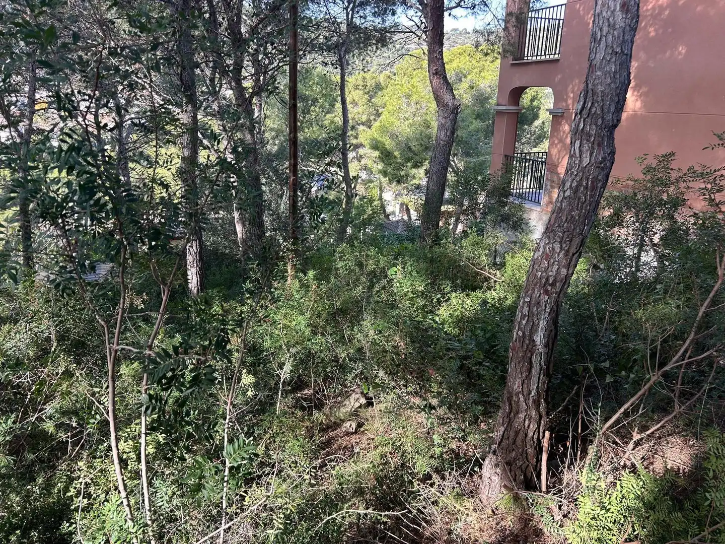 Lands and plots for sale in Segur de Calafell