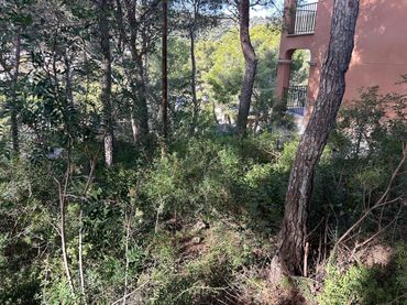 Lands and plots for sale in Segur de Calafell