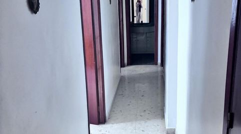 RutePiso, imagen 5