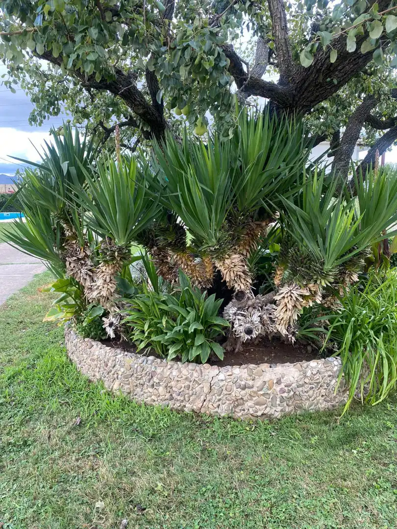 Villa avec piscine à vendre à Calle el Hórreo, imagen 6