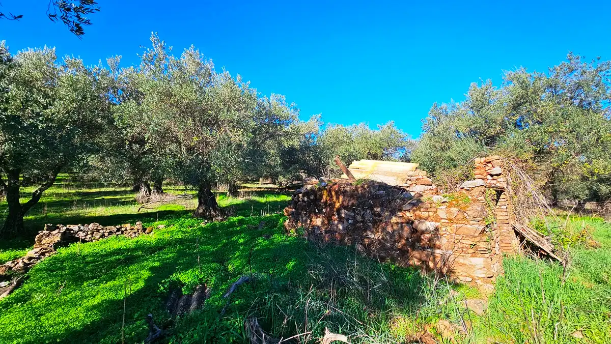Terreno en venta en Higuera de la Sierra