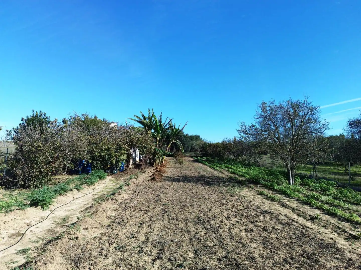 Terreni e lotti in vendita a El Juncal - Vallealto