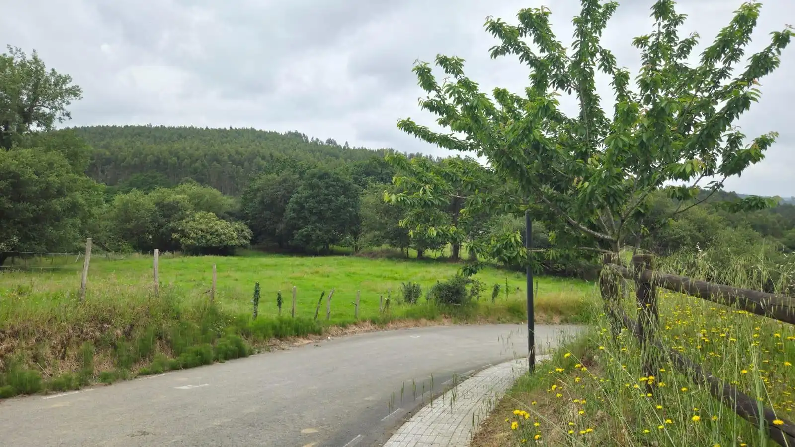 Land for sale in Bárcena de Cicero