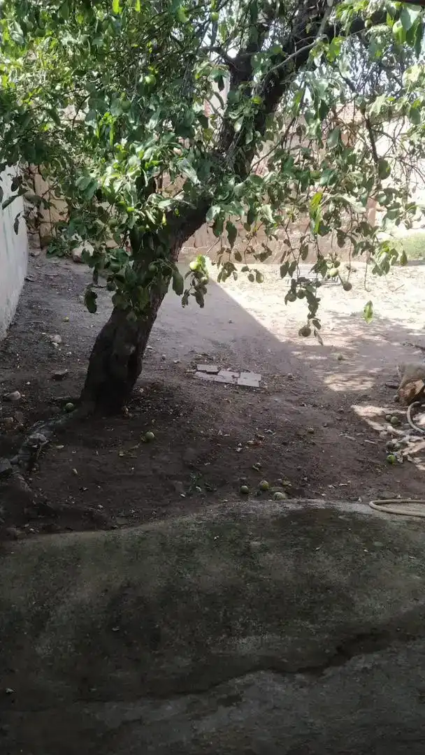 Finca rústica en venda en Cantalpino