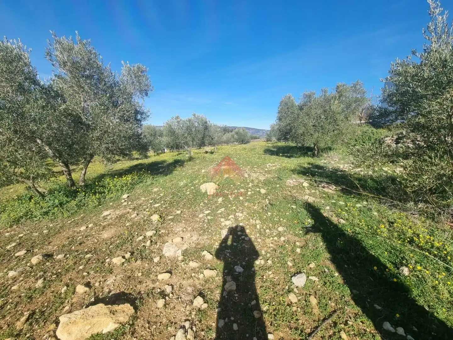 Terreni e lotti in vendita a Casco Histórico, imagen 3