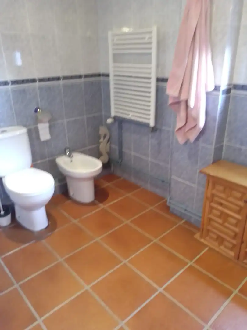 Chalet con terraza en venta en Bérchules, imagen 105