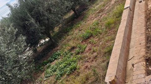 Foto 2 de Terreno en venta en Camino Camino Polsana, Moncada, Valencia