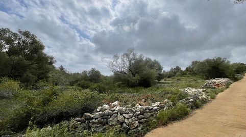 Finca Rúst. en venta en Calig., imatge 5