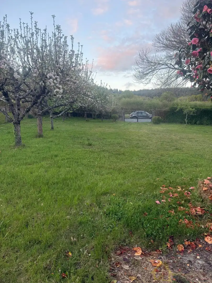 Casa o chalet en venta en Friol