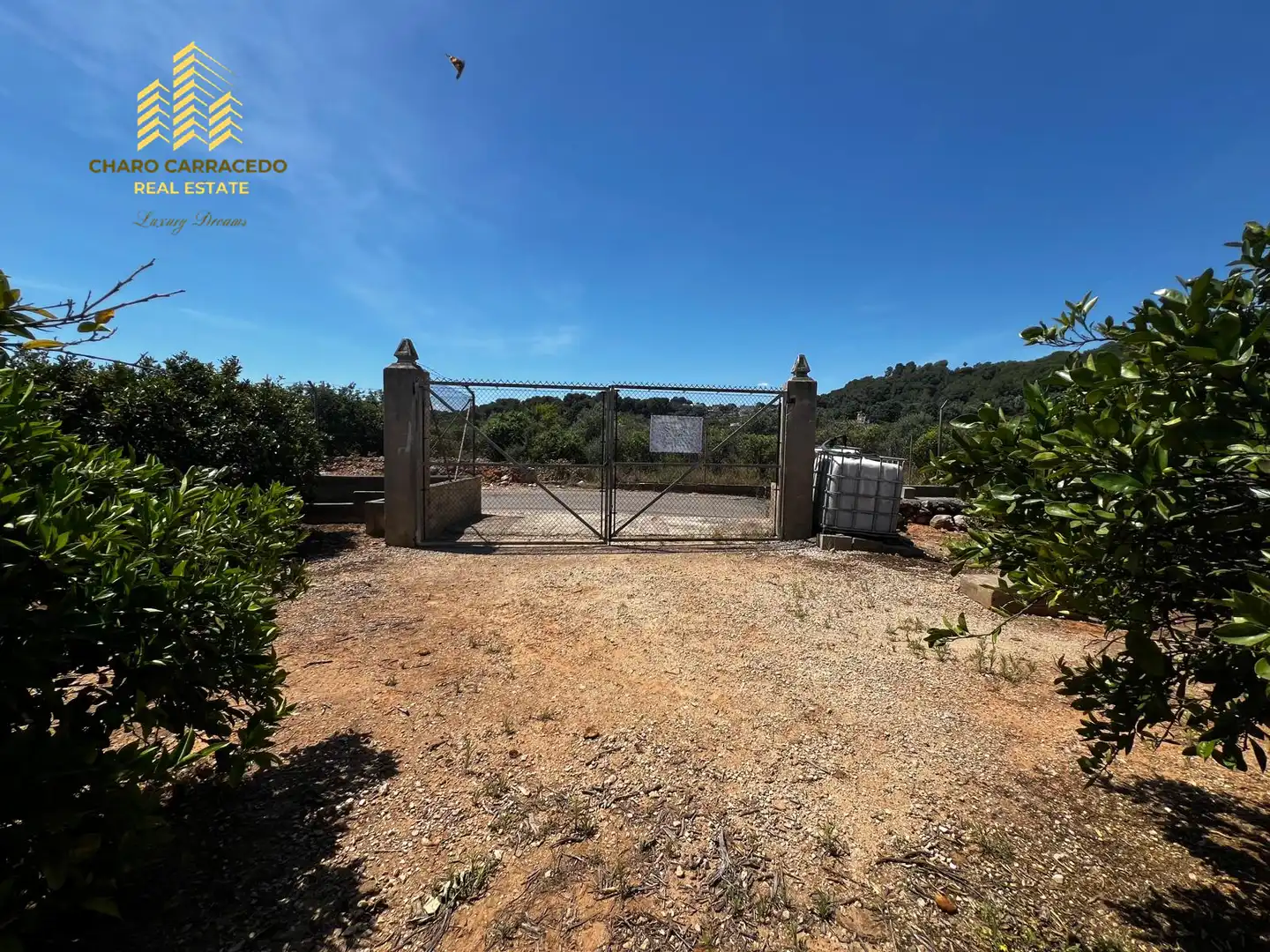 Terreno rústico en venta en Camí de la Murta-Ombria, imagen 21