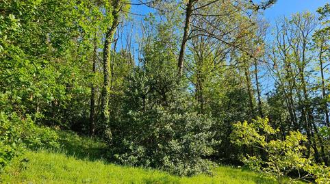 Foto 5 de Casa o xalet en venda a Área Rural, A Coruña