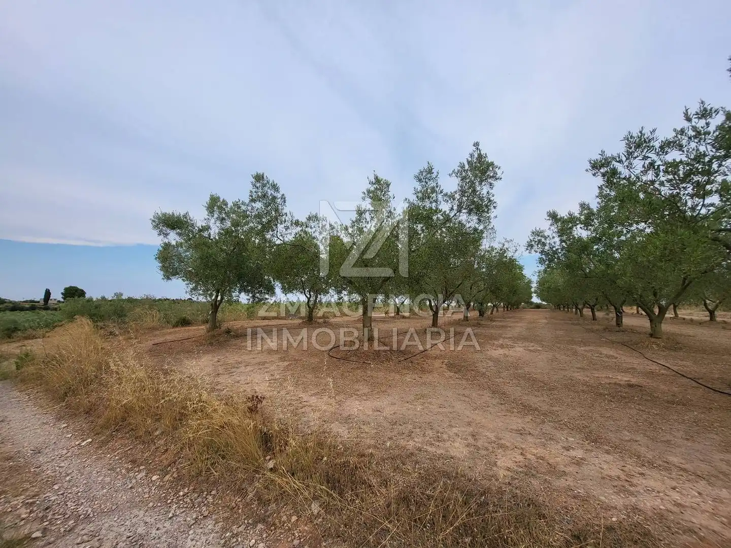 Terreno rústico en venta en Pueblo, imagen 9