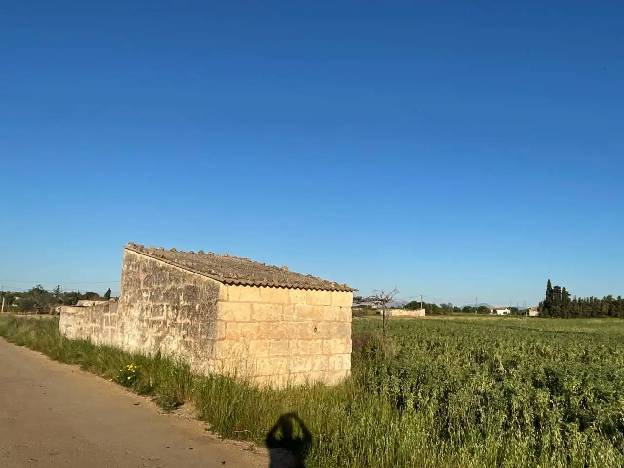 Rustikales Grundstück zum Verkauf in Sa Pobla, imagen 5