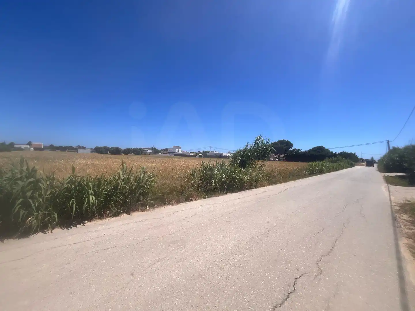 Rustikales Grundstück zum Verkauf in El Palmar