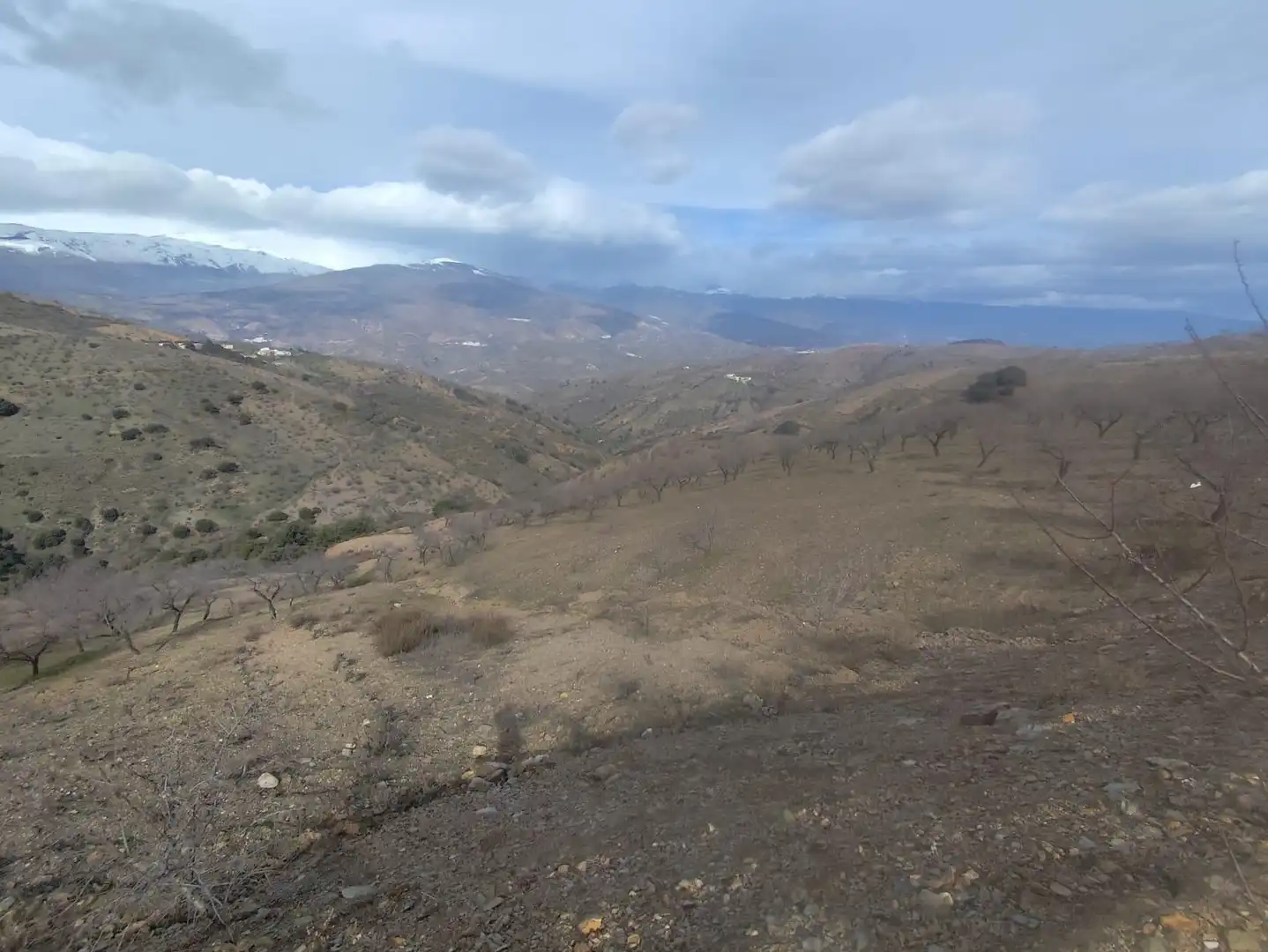 Finca rústica en venta en Cástaras